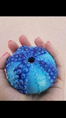 Arianna Leoni Carapace riccio di mare colore AZZURRO  (dim: 25 x 25 x 20 cm)