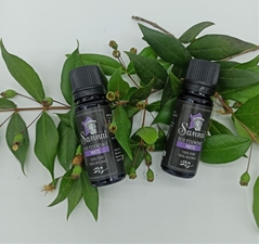 Mirto Sannai OLIO ESSENZIALE DI MIRTO - 100% PURO - 100% NATURALE Bottiglia 5 ml