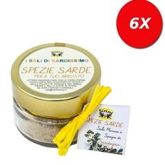6 VASETTI di SPEZIE SARDE PER IL TUO ARROSTO