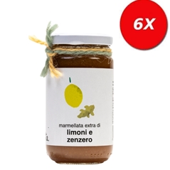 6 VASETTI di Marmellata extra di limone e zenzero