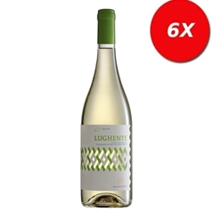 6 BOTTIGLIE di Lughente - Vermentino di Gallura DOGC