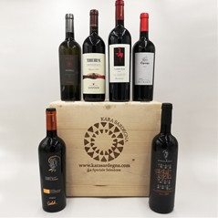 SARDEGNA FAMOSA - CONFEZIONE TOP LEGNO